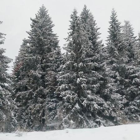 Apartmani Sorak Kopaonik, Studio Apartman A10 Exteriör bild